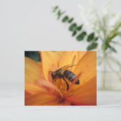 Dahlia (sinaasappel) briefkaart (Staand voorkant)