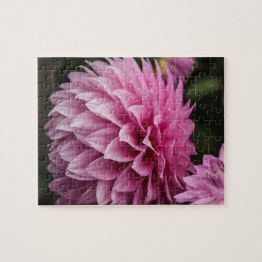 Dahlia Spring Flower Legpuzzel (Horizontaal)
