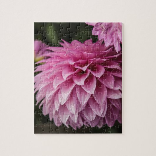 Dahlia Spring Flower Legpuzzel (Verticaal)