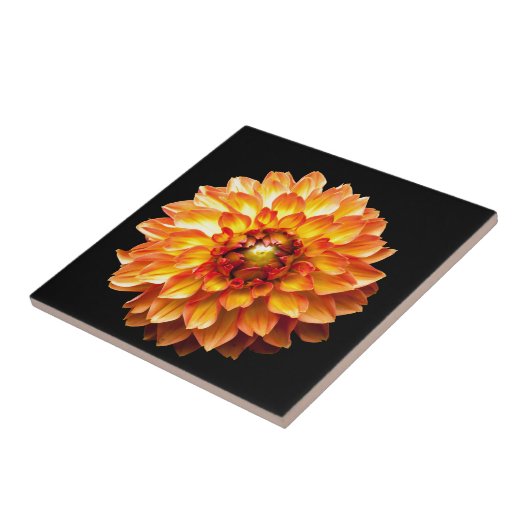 Dahlia Tegeltje (Zijkant)