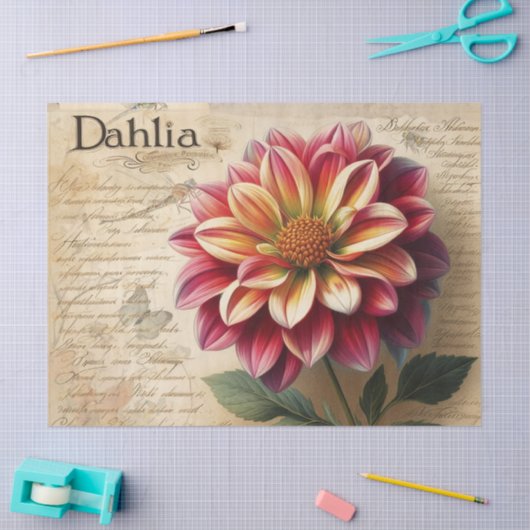 Dahlia Tissuepapier (Craft)