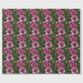 Dahlia Trio Cadeaupapier (Vlak)