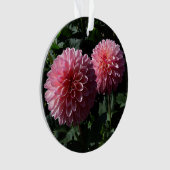 Dahlia Valley Porcupine #1 Ornament (voorkant)