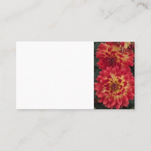 Dahlia Visitekaartje (Voorkant)
