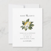 Dahlia - Waterverf Citrus Witte Bloemen Kaart (Voorkant)