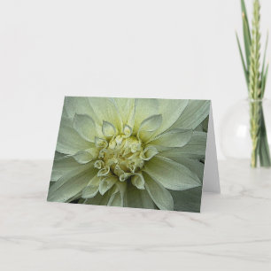 Dahlia - Wenskaart Kaart