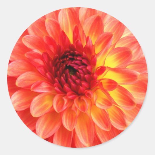 'Dahlia'-zegel Ronde Sticker (Voorkant)