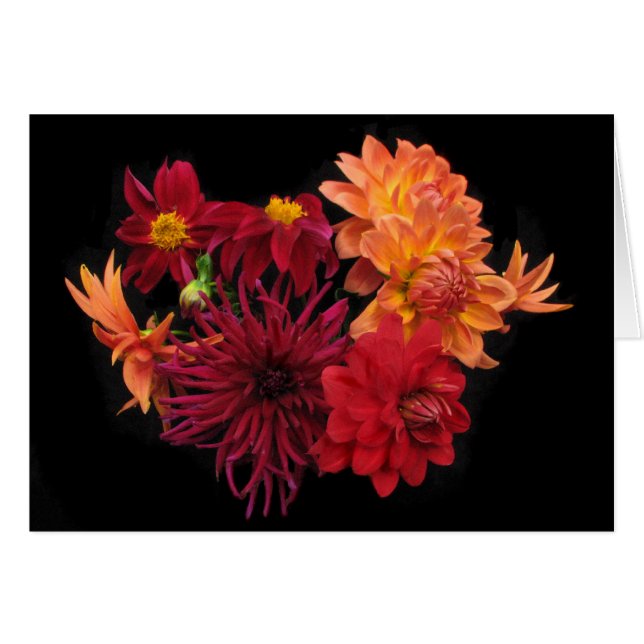 Dahlias (Voorkant Horizontaal)