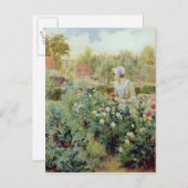 Dahlias 1896 briefkaart (Voorkant / Achterkant)