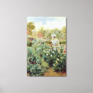Dahlias 1896 canvas afdruk