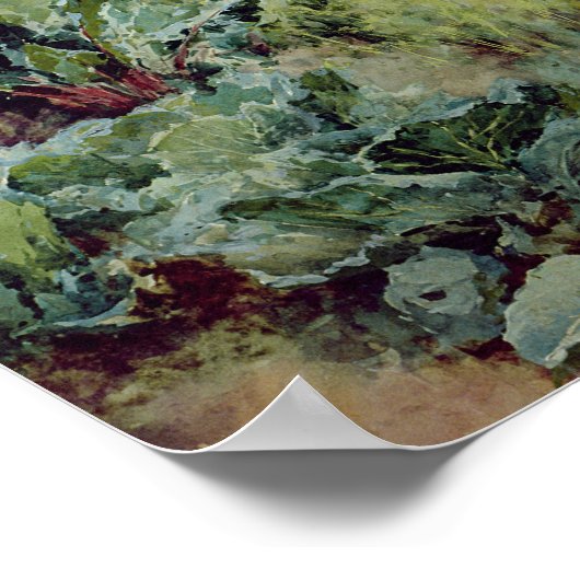 Dahlias 1896 poster (Hoek)