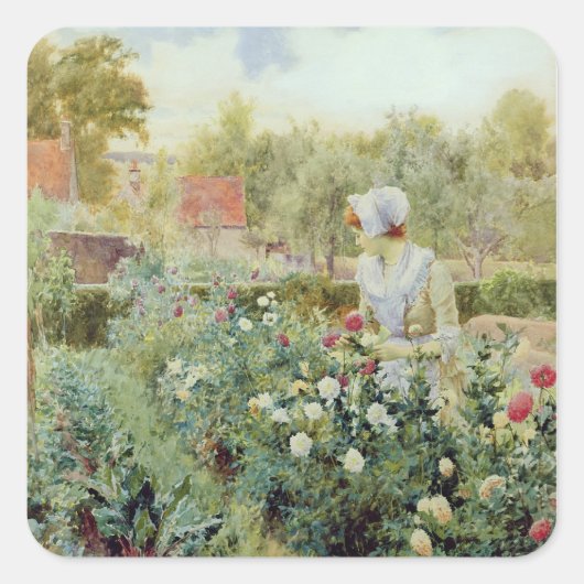 Dahlias 1896 vierkante sticker (Voorkant)