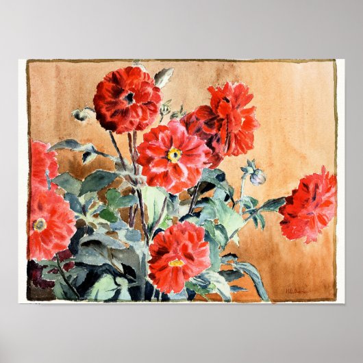 Dahlias, botanische waterverf schilderij poster (Voorkant)