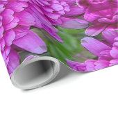 Dahlias...... Cadeaupapier (Rol Hoek)