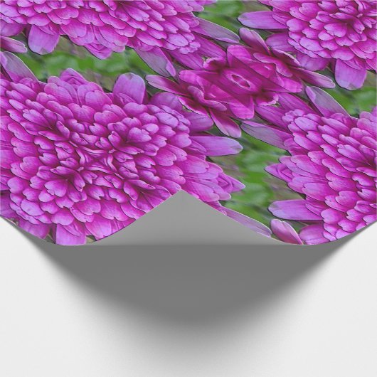 Dahlias...... Cadeaupapier (Hoek)