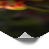 Dahlias, dahlia boerderij, Canby, Oregon, Verenigd Poster (Hoek)