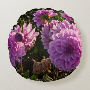 Dahlias, dahlia-boerderij, Canby, Oregon, VS 5 Rond Kussen