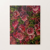 Dahlias, dahliabedrijf, Canby, Oregon, VS 4 Legpuzzel (Verticaal)