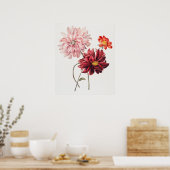 Dahlia's door Willem Hekking  Poster (Keuken)