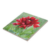 Dahlias Flower Ceramic Tile Tegeltje (Zijkant)