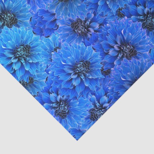 Dahlia's in koningsblauw - bloemontwerp, tissuepapier (Detail)