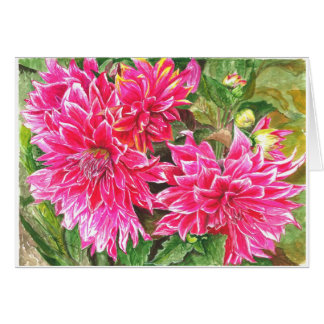 Dahlias in volle bloei