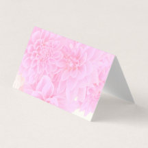 Dahlias in zacht roze