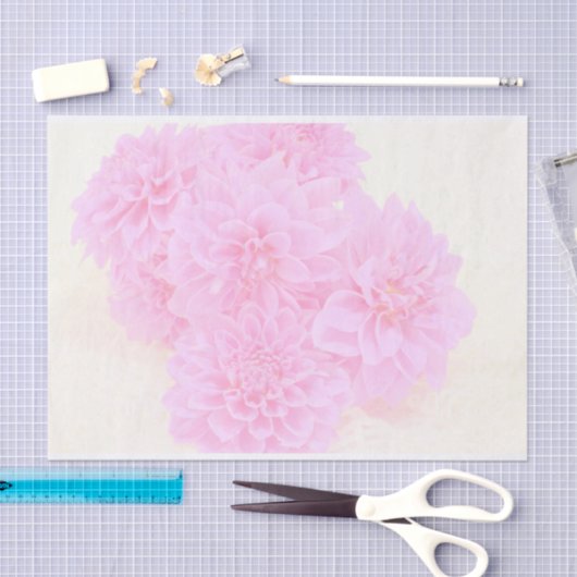 Dahlias in zacht roze tissuepapier (Craft)
