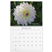 Dahlias Kalender (Feb 2027)