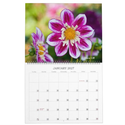 Dahlias Kalender (Jan 2027)