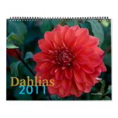 Dahlias Kalender (Hoes)