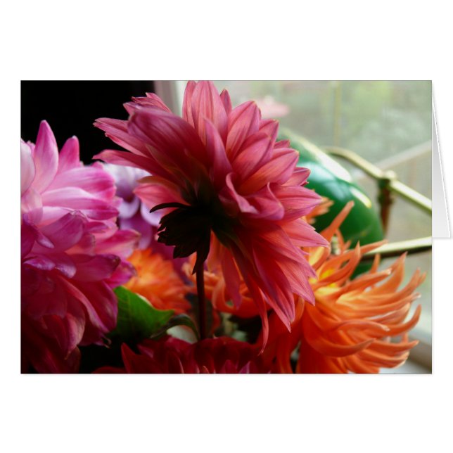 Dahlias (met lamp) (Voorkant Horizontaal)