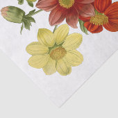 Dahlias Oranje witte gele rode bloem Tissuepapier (Detail)