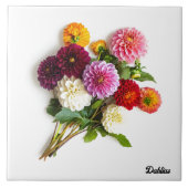 Dahlias Tegeltje (Voorkant)