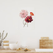 Dahlias Willem Hekking Vintage Bloemenkunst Poster (Keuken)