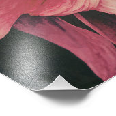 Dahlie Foto Afdruk (Hoek)