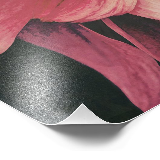 Dahlie Foto Afdruk (Hoek)