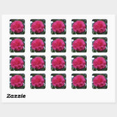 Daikagura Red Camellia Stickers (Vel)