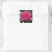 Daikagura Red Camellia Stickers (Tas)