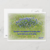 Daily Bread Briefkaart (Voorkant / Achterkant)