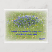 Daily Bread Briefkaart (Voorkant)