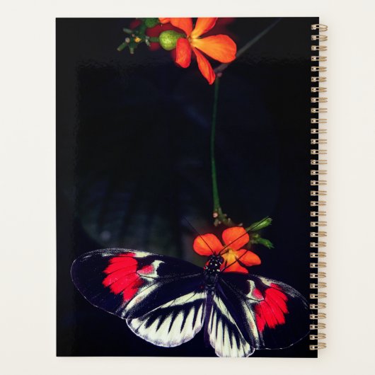 Daily Butterfly Planner (Achterkant)