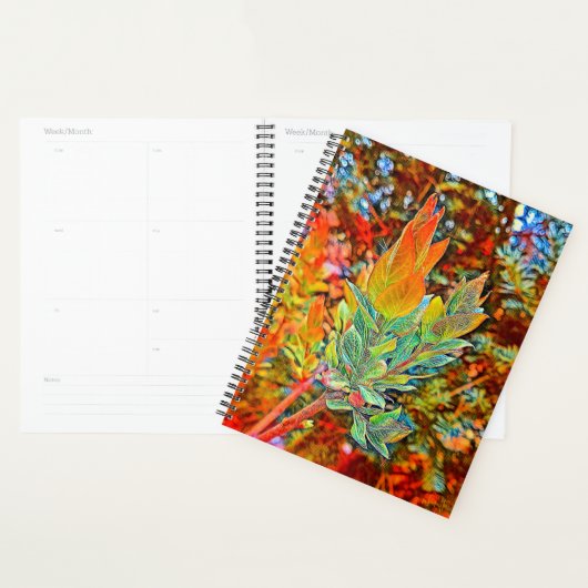 Daily-Hoesje voor harde schijven Planner (Display)