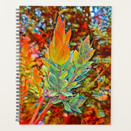 Daily-Hoesje voor harde schijven Planner