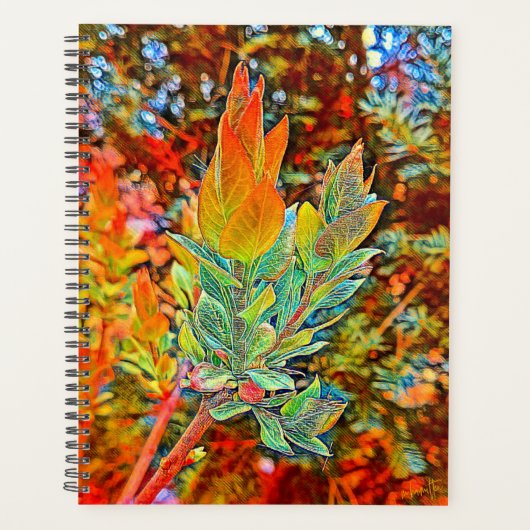 Daily-Hoesje voor harde schijven Planner (Voorkant)