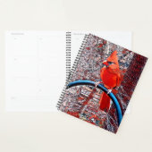 Daily-Hoesje voor harde schijven Planner (Display)