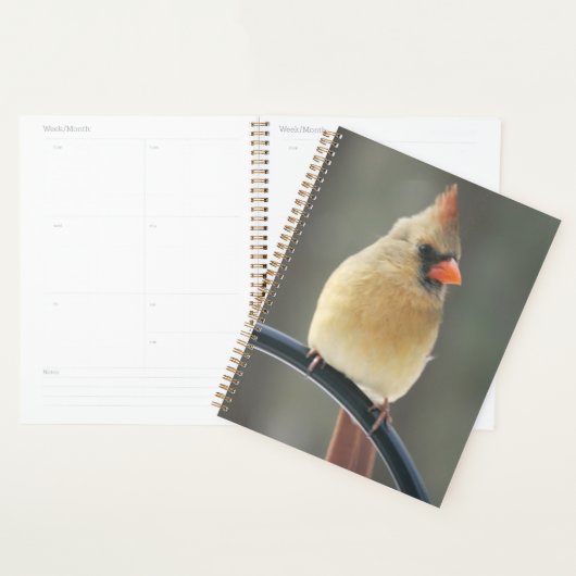 Daily-Hoesje voor harde schijven Planner (Display)