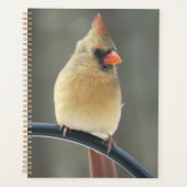 Daily-Hoesje voor harde schijven Planner (Voorkant)