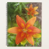 Daily Planner (Voorkant)