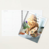Daily Planner - Cat - HAMbWG (Display)